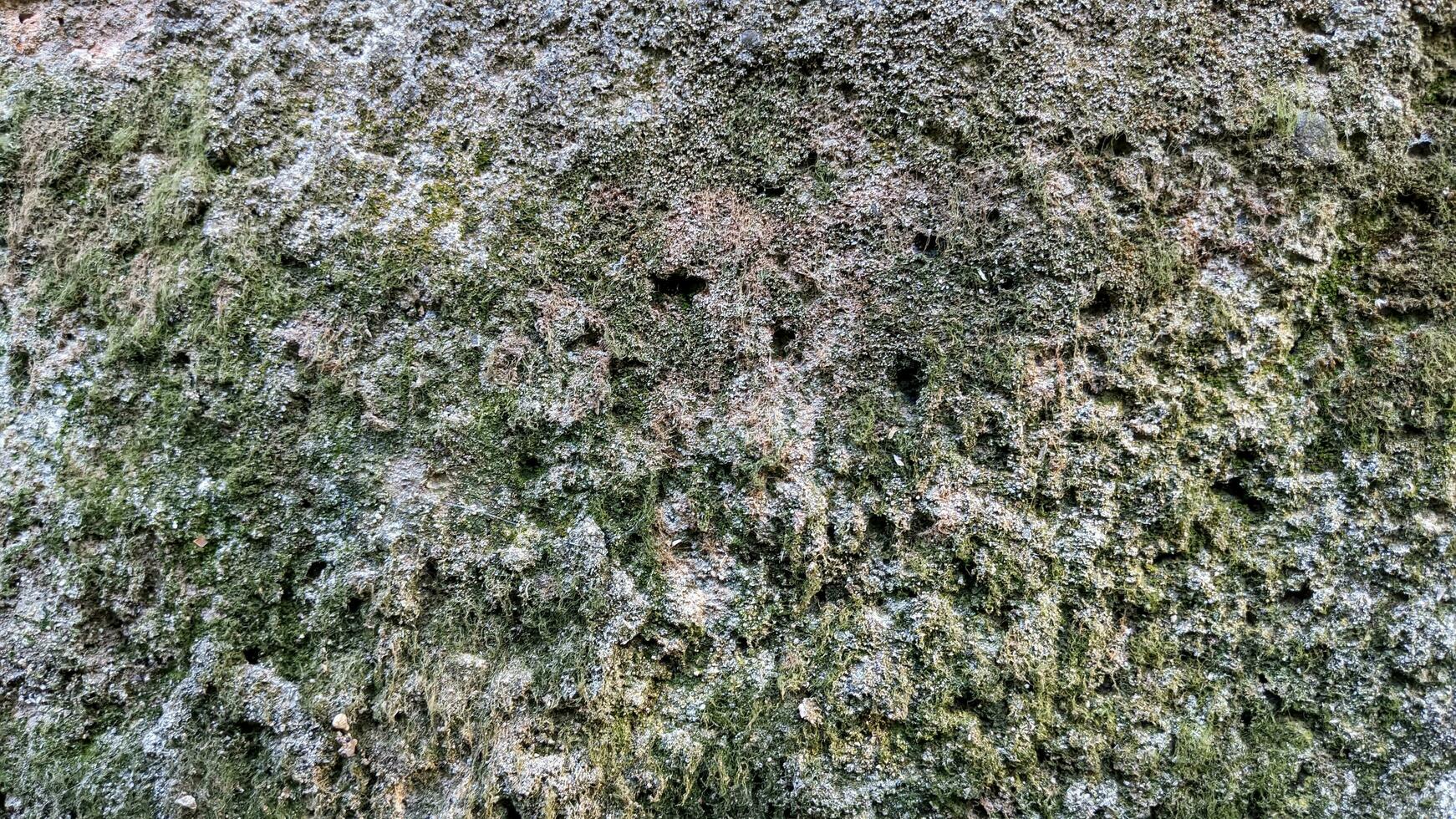 rough texture of mossy gray cement walls photo