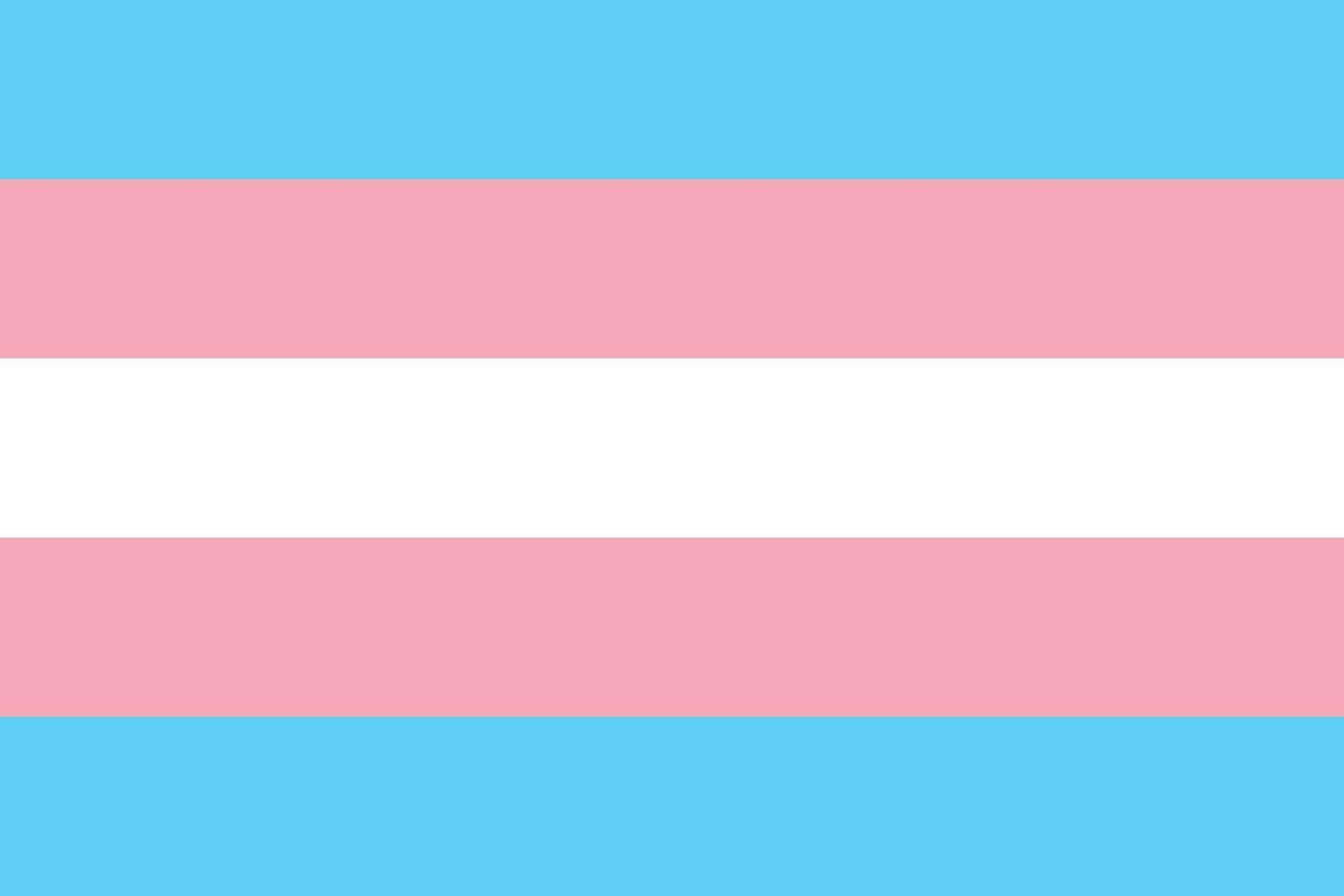 Transgender Pride Flag. Trans Pride Flag. vector