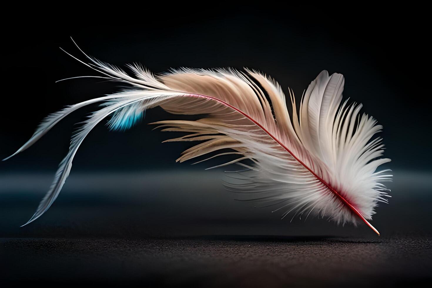 Single white feather isolated on black background. . photo