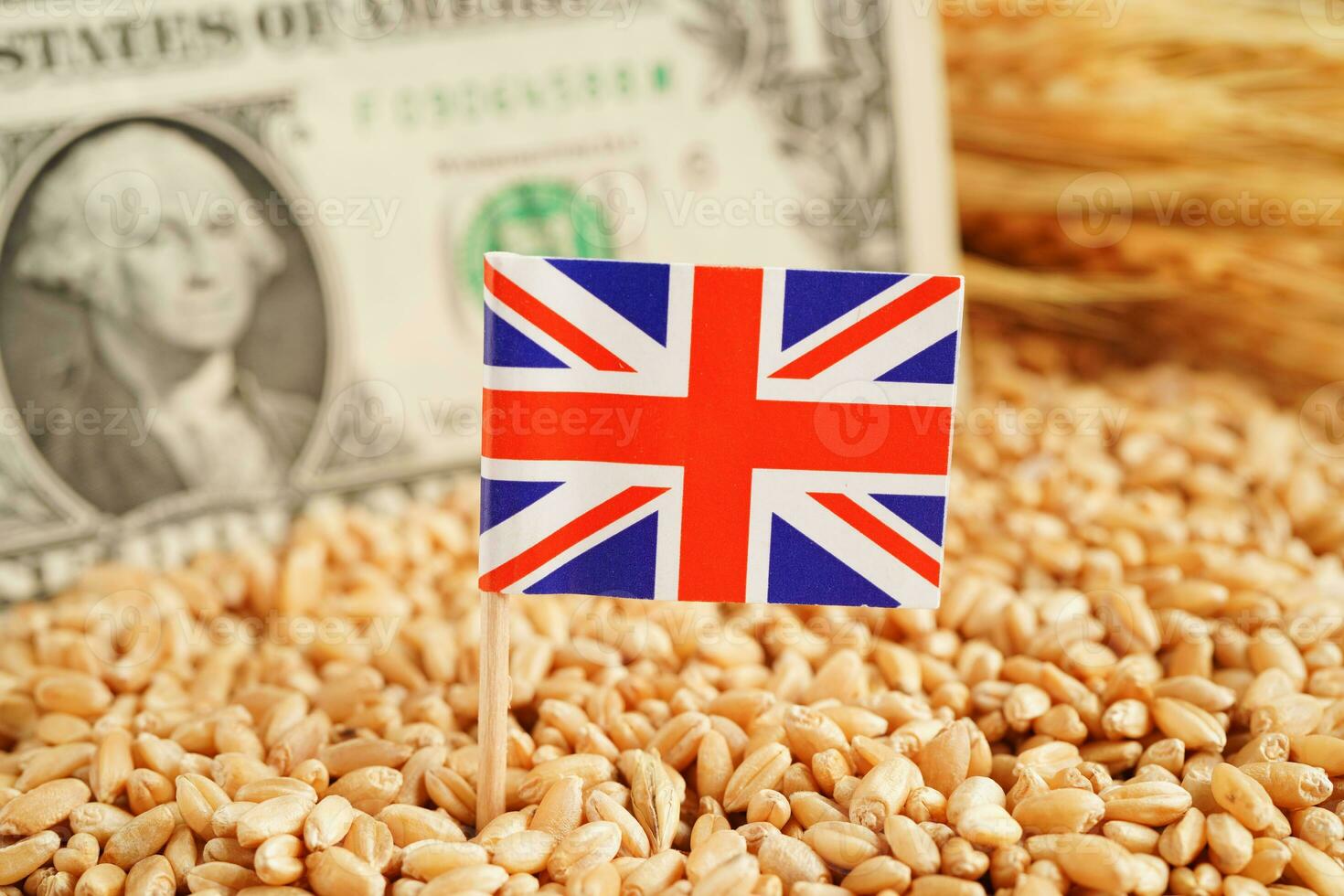 United Kingdom flag on grain wheat, trade export and economy concept. photo