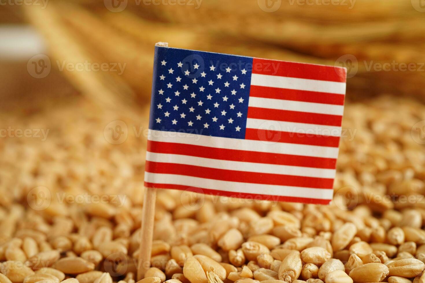 USA America flag on grain wheat, trade export and economy concept. photo