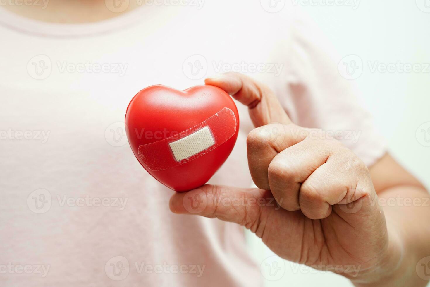 Asian woman holding human internal organ model, donation charity volunteer concept. photo