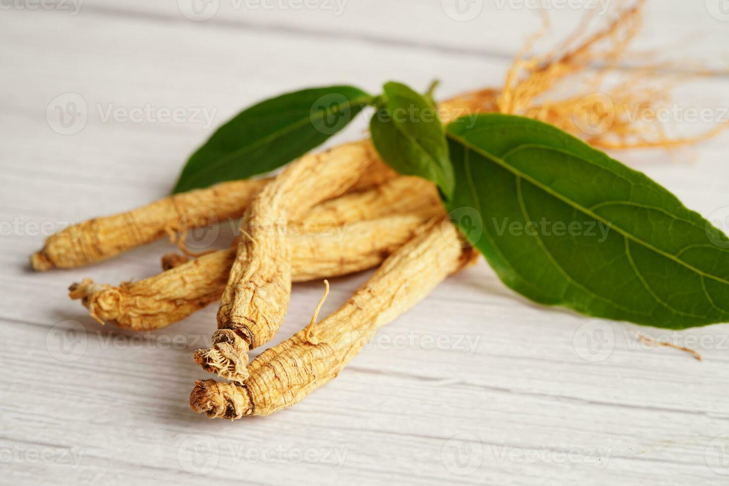 Ginseng roots and green leaf, healthy food. photo