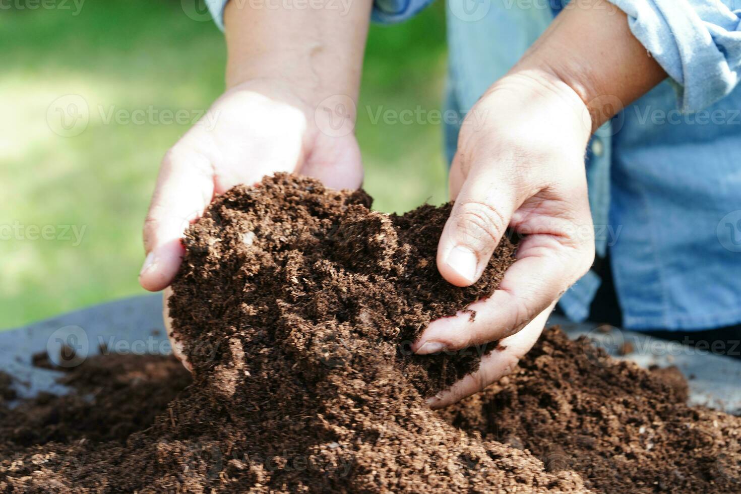 musgo de turba, suelo fertilizante para agricultura orgánica, cultivo de plantas, concepto ecológico. foto