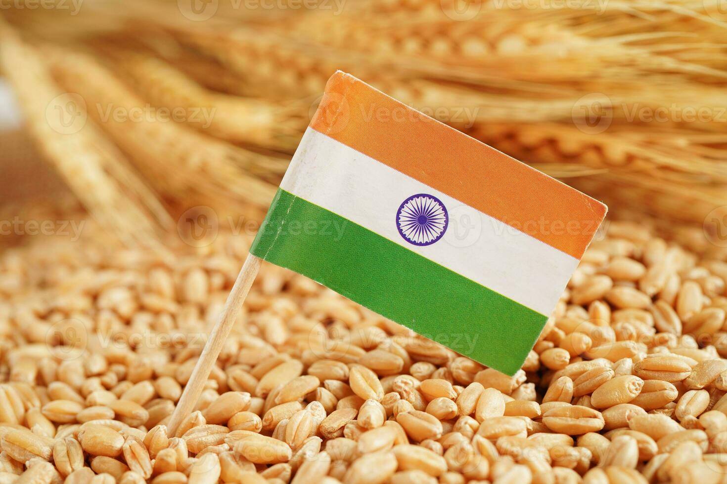 India flag on grain wheat, trade export and economy concept. photo