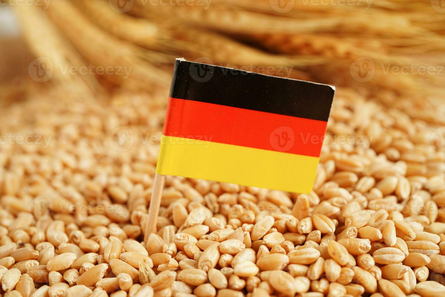 Germany flag on grain wheat, trade export and economy concept. photo