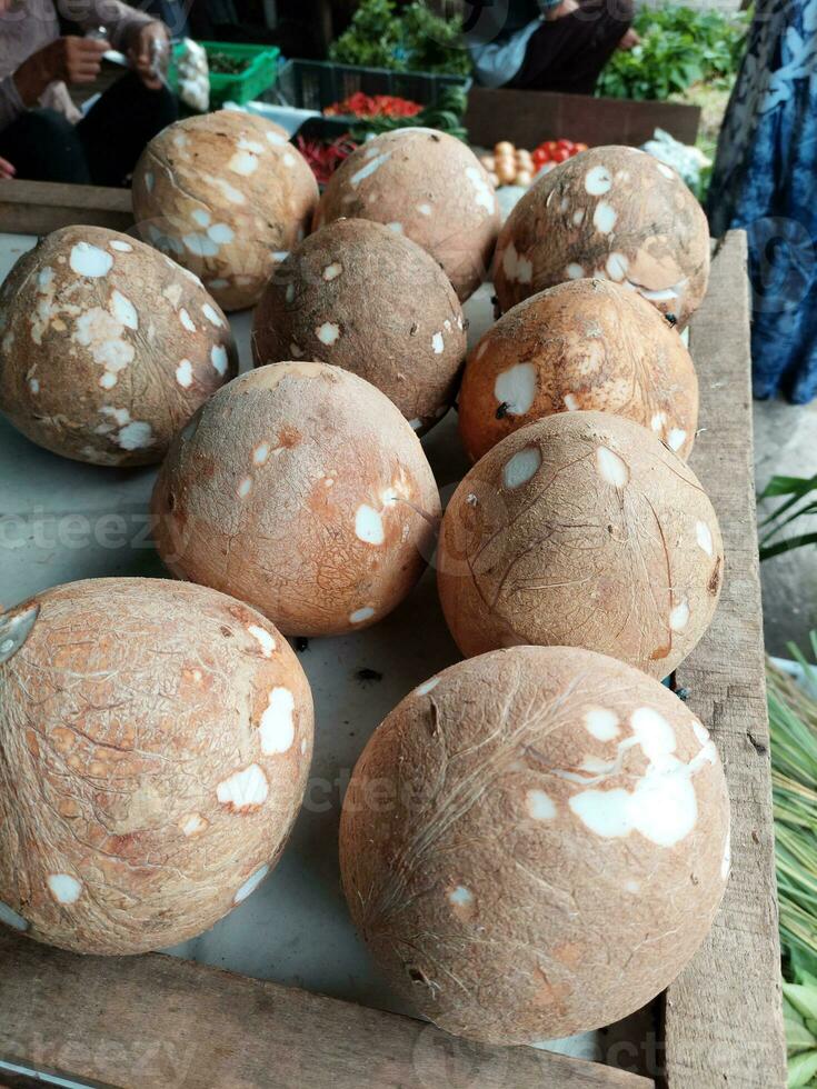 Pile of coconuts in the food market photo