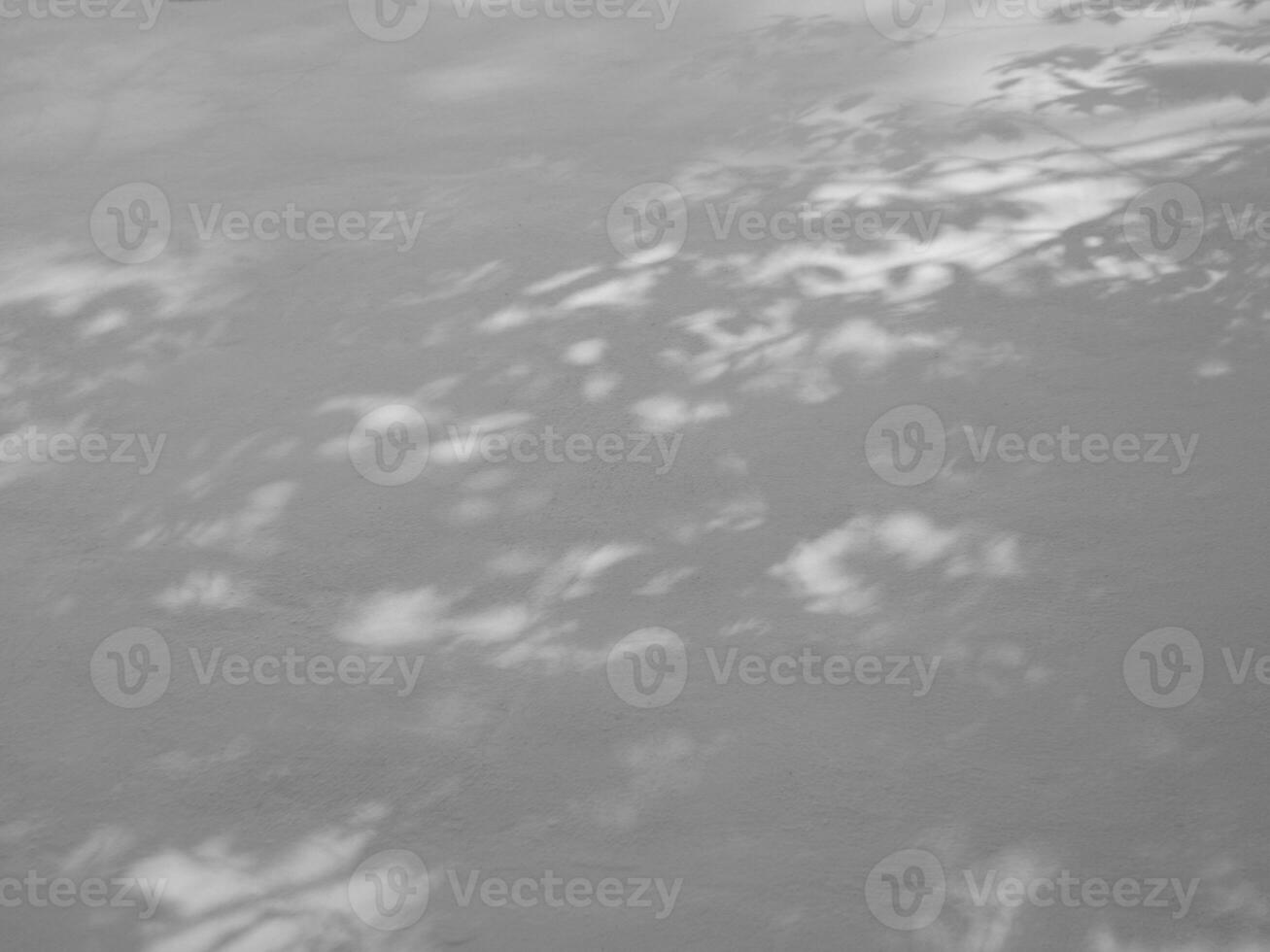 Seamless texture of white cement wall a rough surface and leaf shadow, with space for text, for a background photo