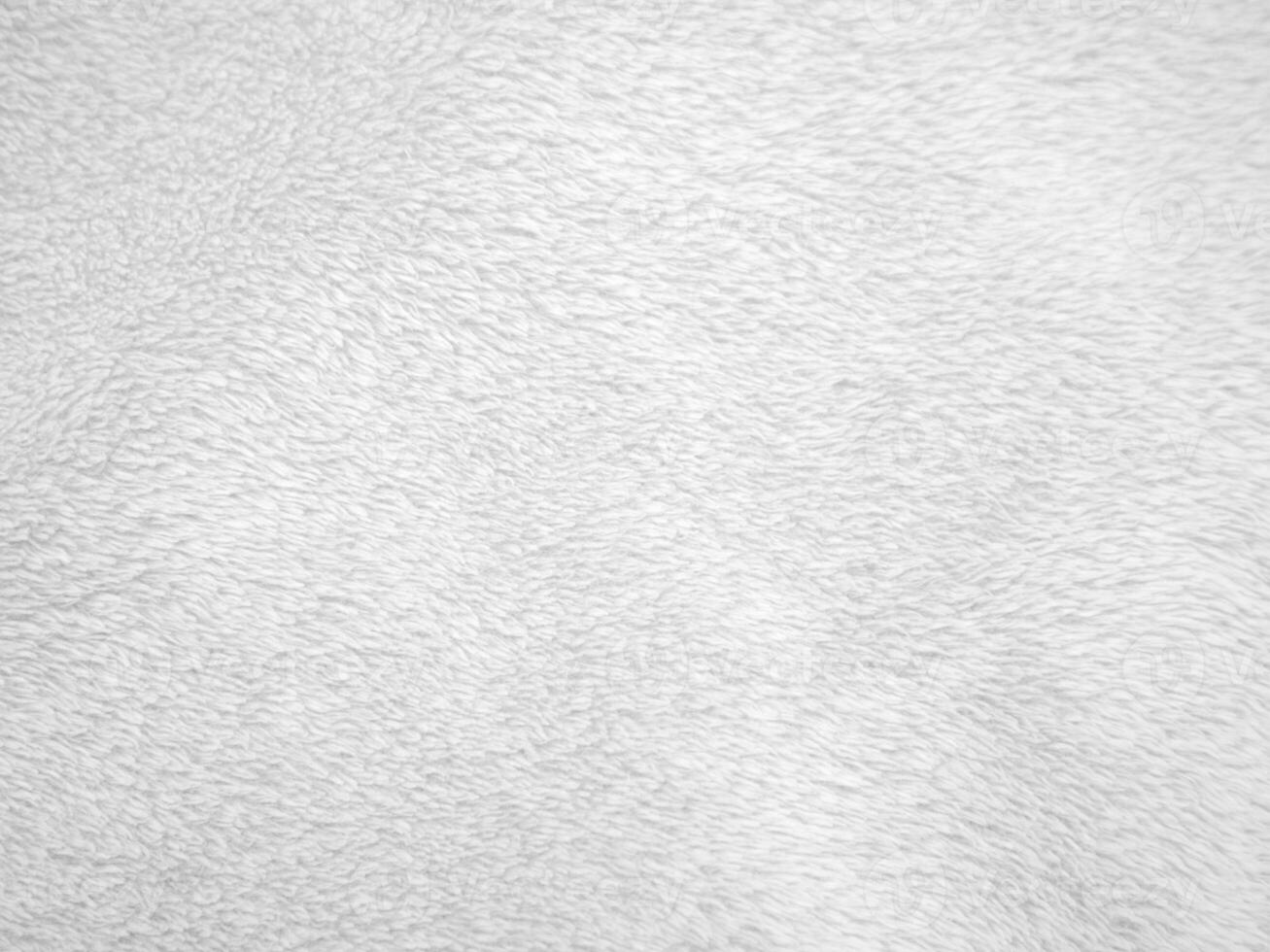 White clean wool texture background. light natural sheep wool. white seamless cotton. texture of fluffy fur for designers. close-up fragment white wool carpet. photo