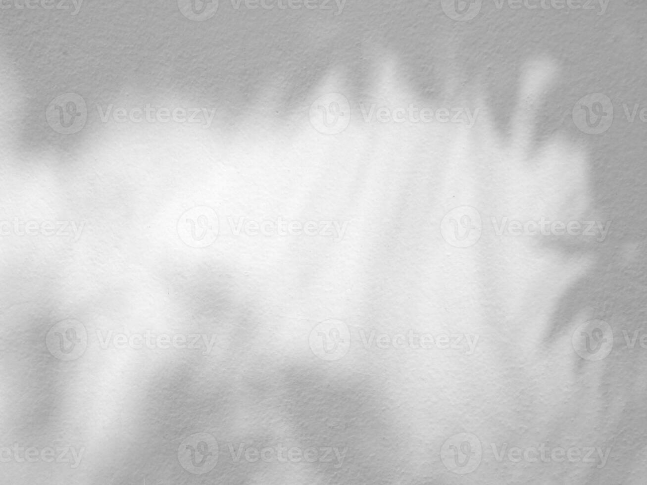 Seamless texture of white cement wall a rough surface and leaf shadow, with space for text, for a background photo