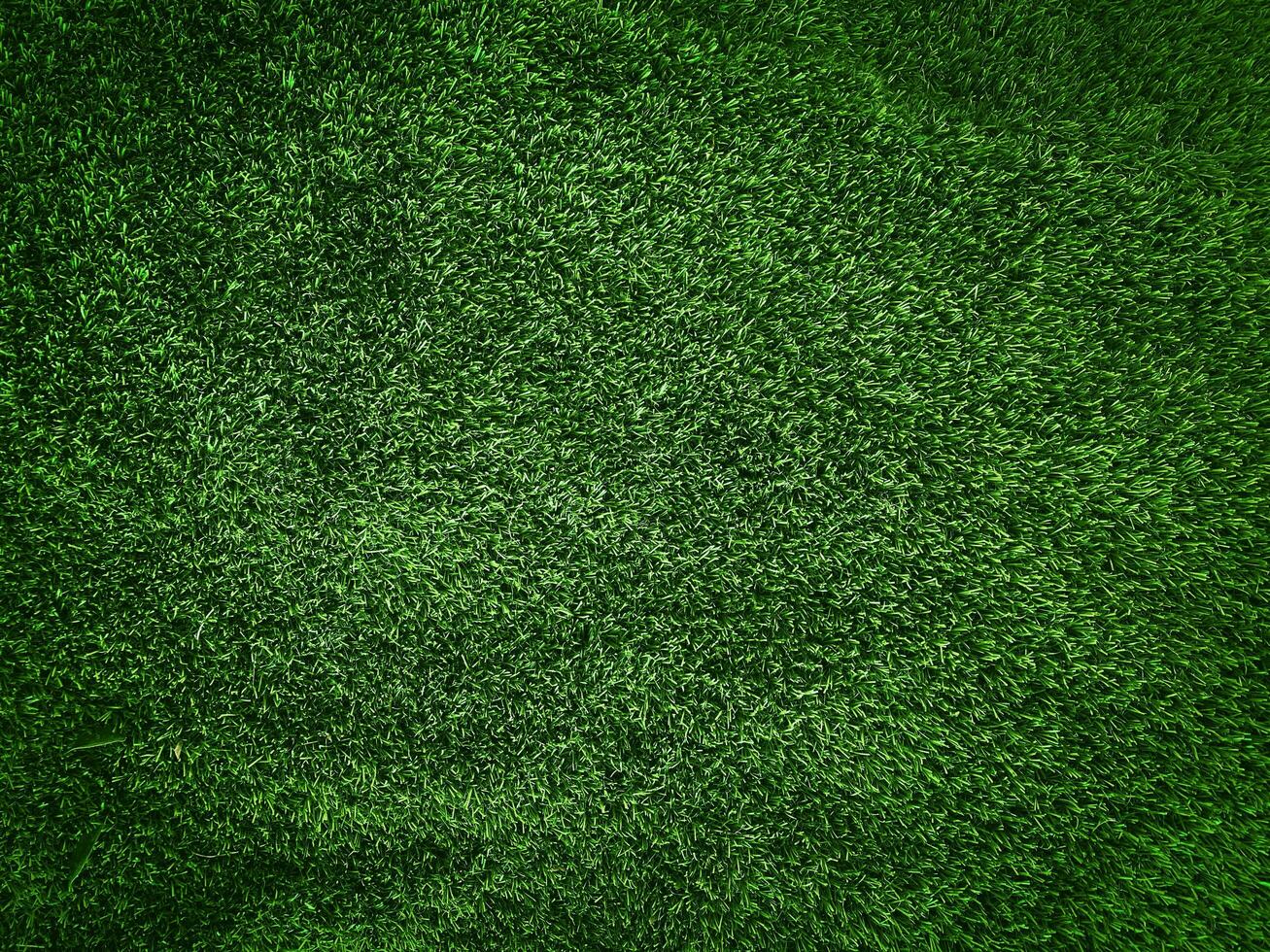 Green grass texture background grass garden concept used for making green background football pitch, Grass Golf, green lawn pattern textured background. photo