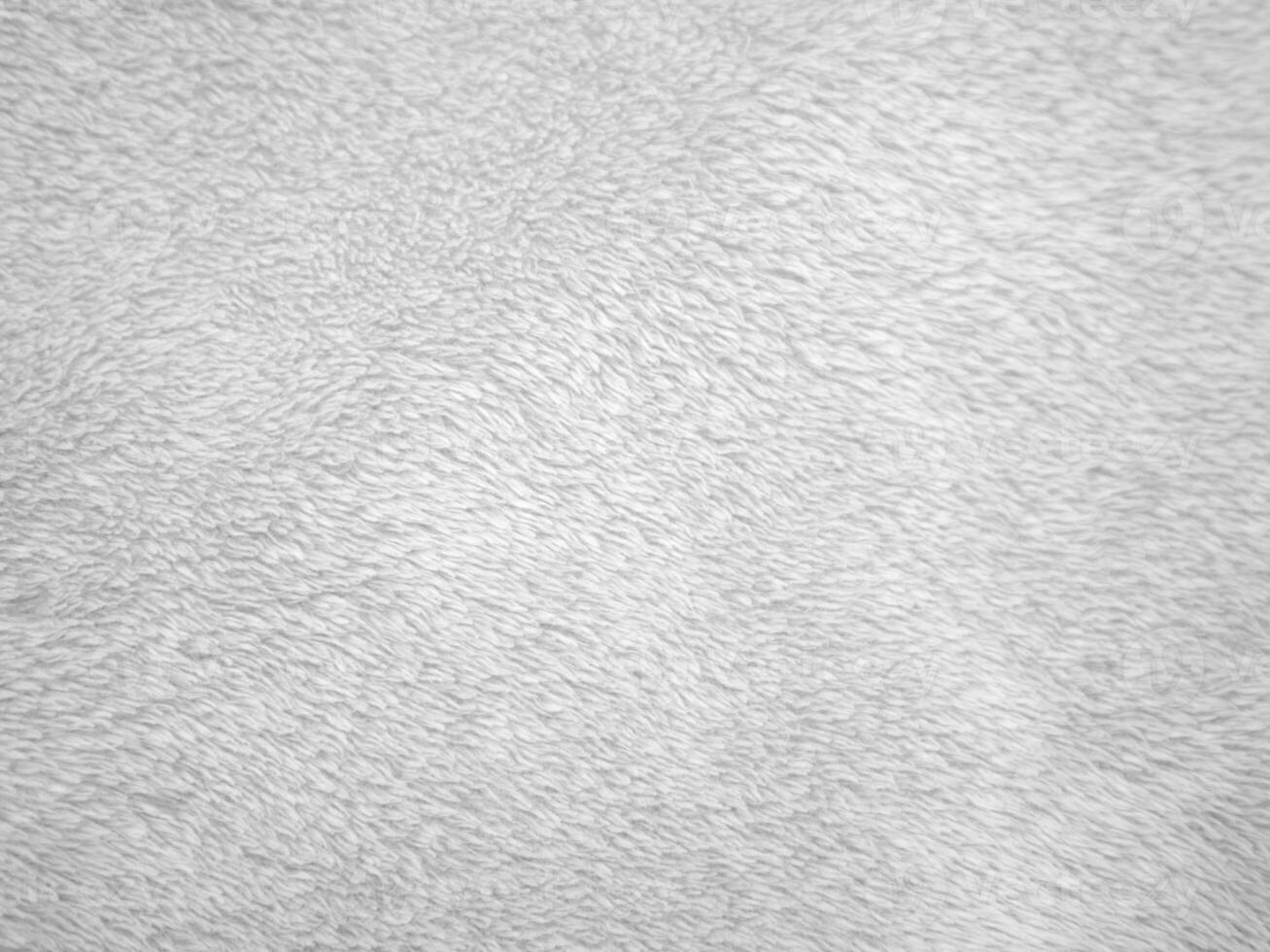 White clean wool texture background. light natural sheep wool. white seamless cotton. texture of fluffy fur for designers. close-up fragment white wool carpet. photo