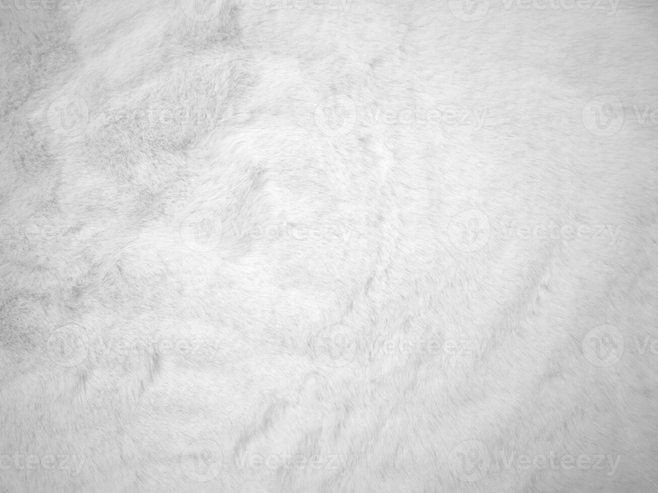 White clean wool texture background. light natural sheep wool. white seamless cotton. texture of fluffy fur for designers. close-up fragment white wool carpet.. photo