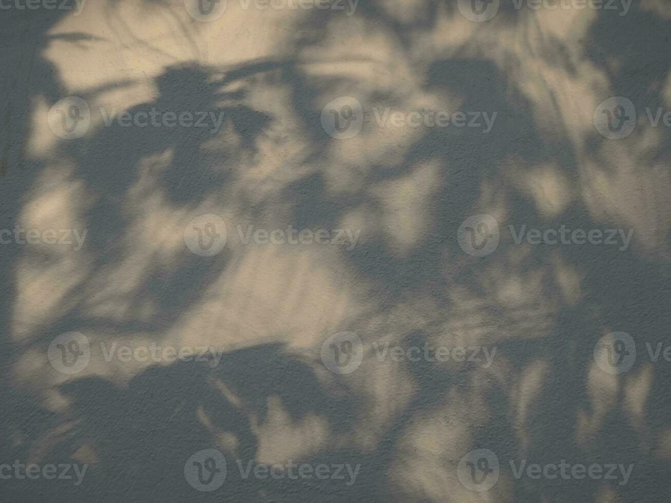 Seamless texture of white cement wall a rough surface and leaf shadow, with space for text, for a background photo
