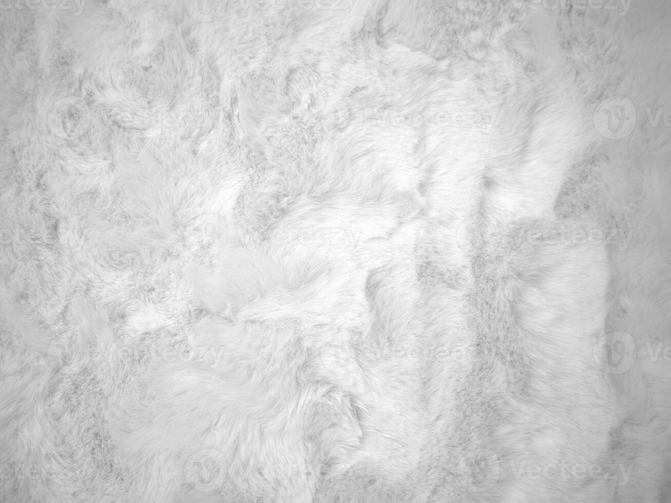 White clean wool texture background. light natural sheep wool. white seamless cotton. texture of fluffy fur for designers. close-up fragment white wool carpet.. photo