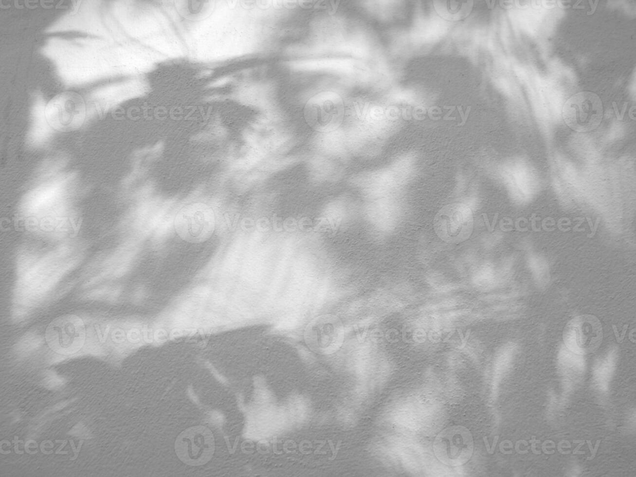 textura transparente de pared de cemento blanco una superficie áspera y sombra de hoja, con espacio para texto, para un fondo foto