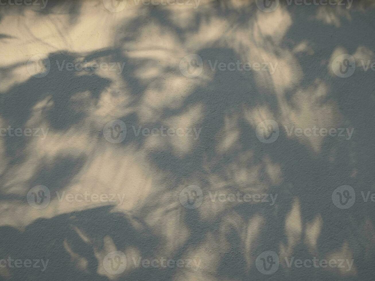 Seamless texture of white cement wall a rough surface and leaf shadow, with space for text, for a background photo