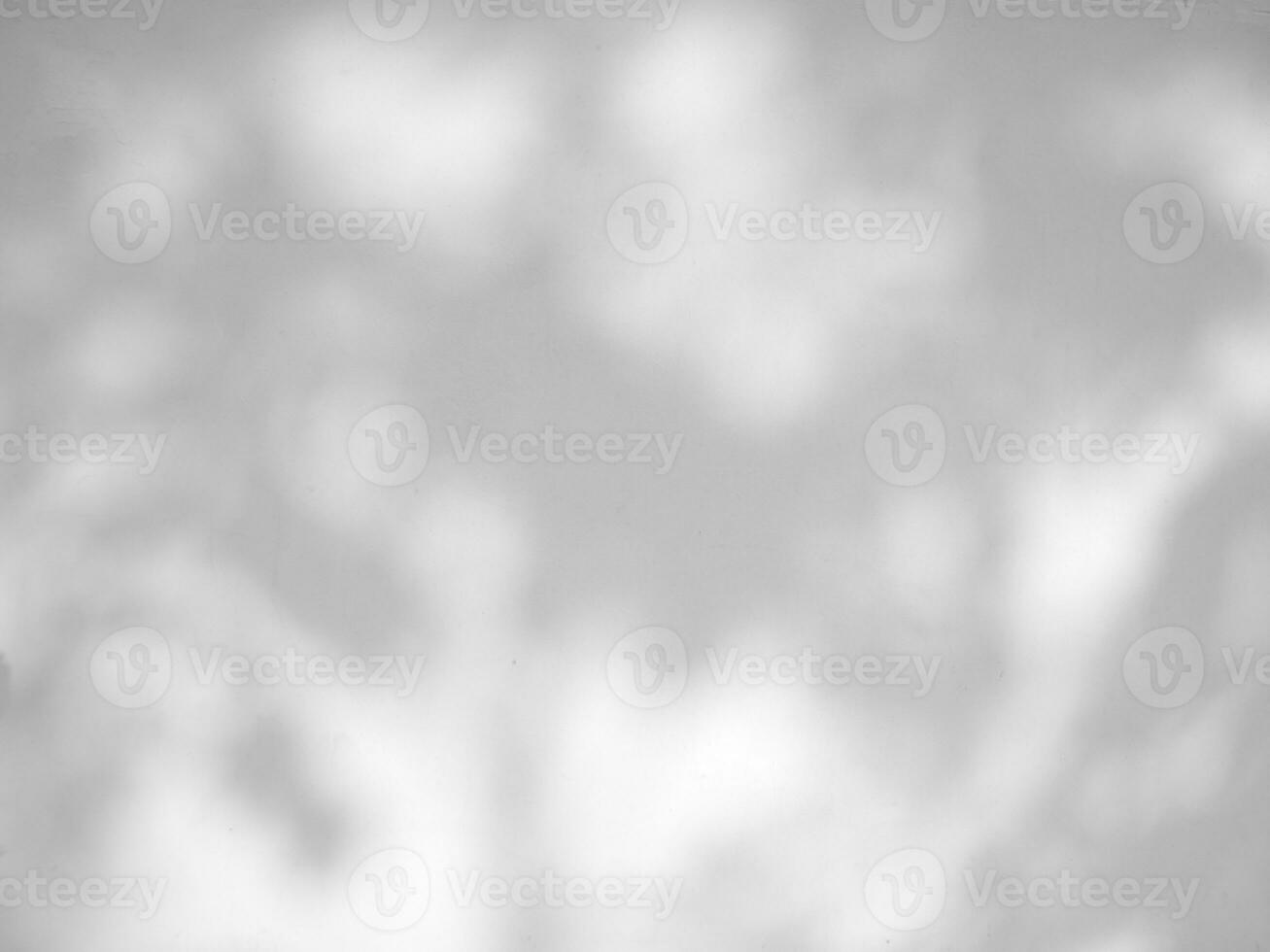 Seamless texture of white cement wall a rough surface and leaf shadow, with space for text, for a background photo