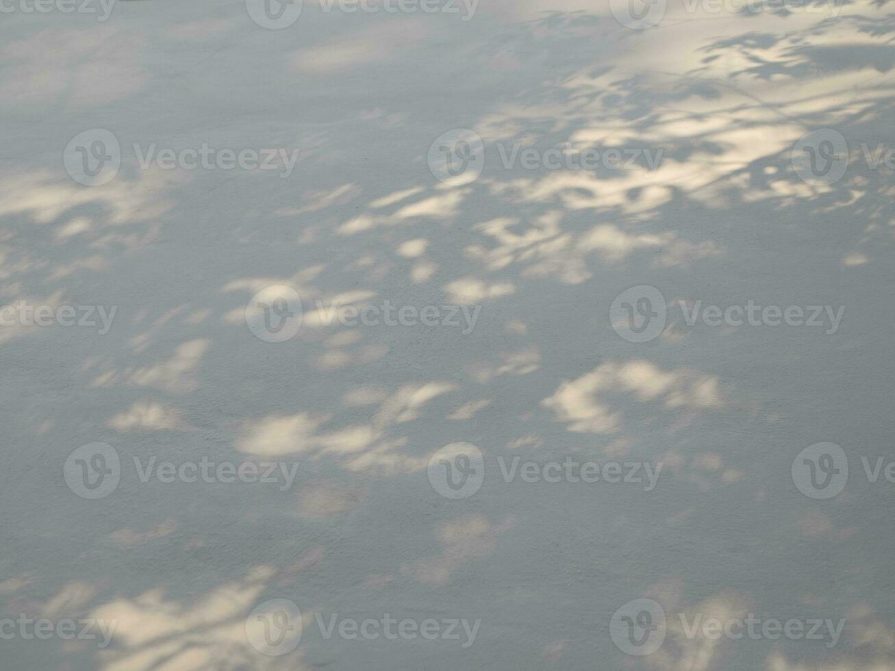 textura transparente de pared de cemento blanco una superficie áspera y sombra de hoja, con espacio para texto, para un fondo foto