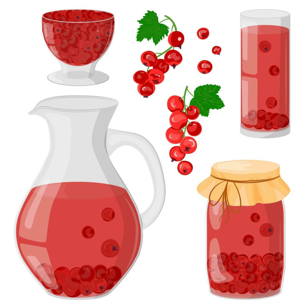 Red currant compote in a glass decanter, glass, jar. Drinking from homemade fruits. Homemade jam or jelly in a glass bowl. The concept of healthy eating. Vector illustration in a flat style.