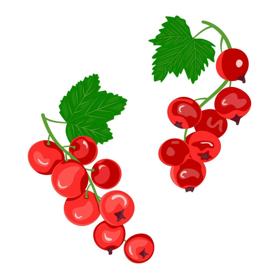 Red currant berries with green leaves. The concept of healthy eating. Ripe berries. Fruit picking. Vector illustration in a flat style.