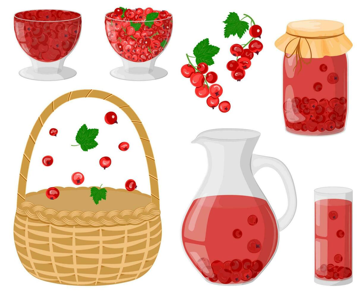 A set of red currants. Summer compote in a decanter, glass, jar. Drinking and jam from homemade fruits. Berries for a healthy drink. The concept of healthy eating. Wicker basket. Vector illustration.