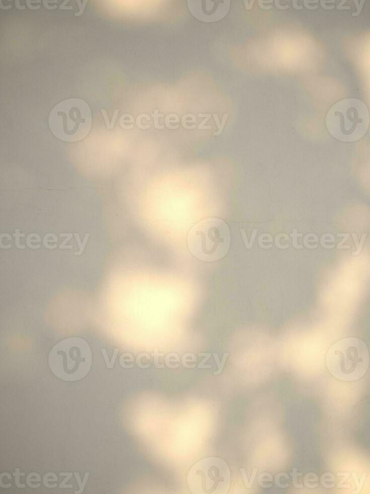 Seamless texture of white cement wall a rough surface and leaf shadow, with space for text, for a background photo