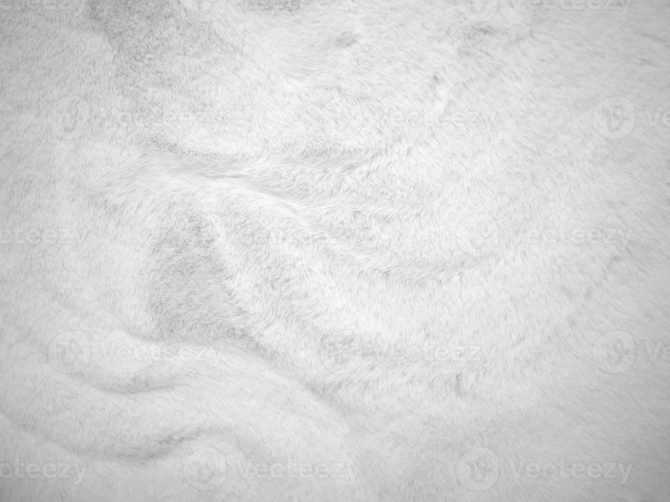 White clean wool texture background. light natural sheep wool