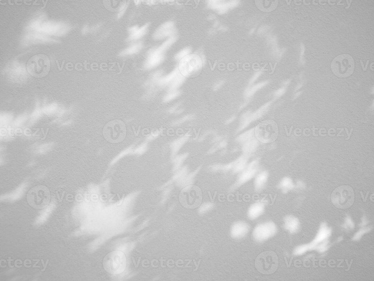 Seamless texture of white cement wall a rough surface and leaf shadow, with space for text, for a background photo