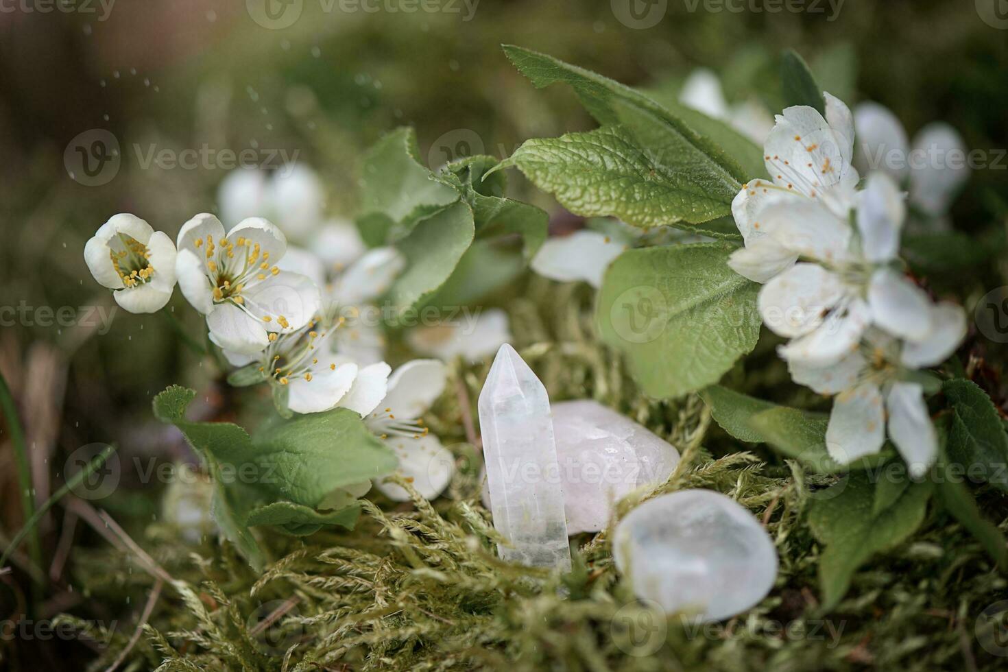 crystals on green natural background. Magic Healing gemstone mineral for meditation, Crystal Ritual, Witchcraft, Chakra relaxation. spiritual esoteric  practice, quartz minerals for healing, photo