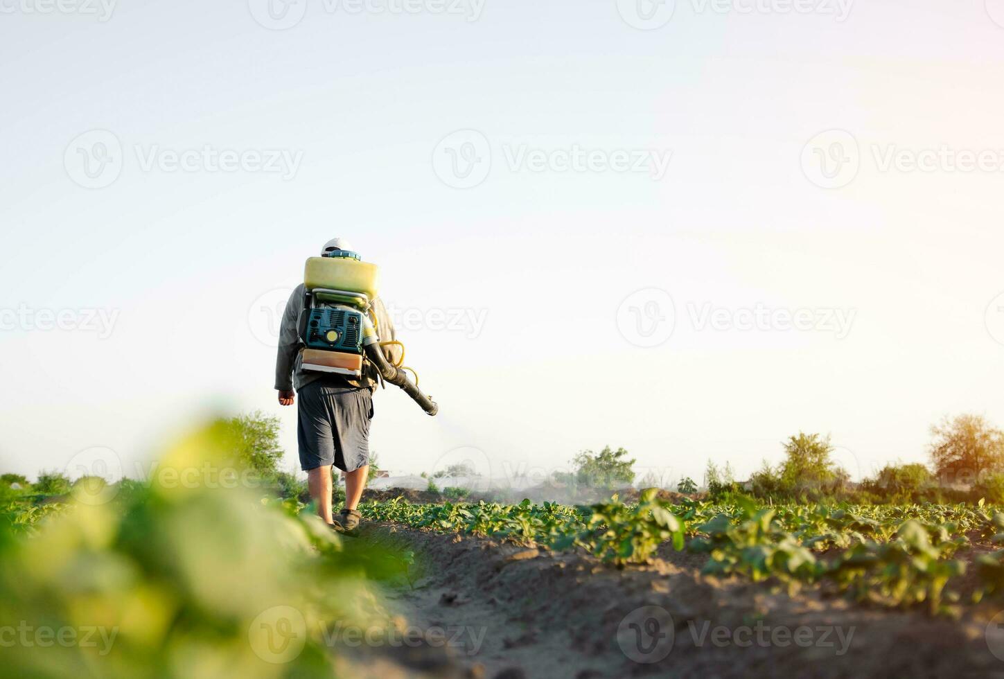 Farmer sprays pesticides on plantation. Agriculture and agro industry. Use of chemicals for protection of plants from insects and fungal infections. Farm work on field. Pesticides and fungicides. photo