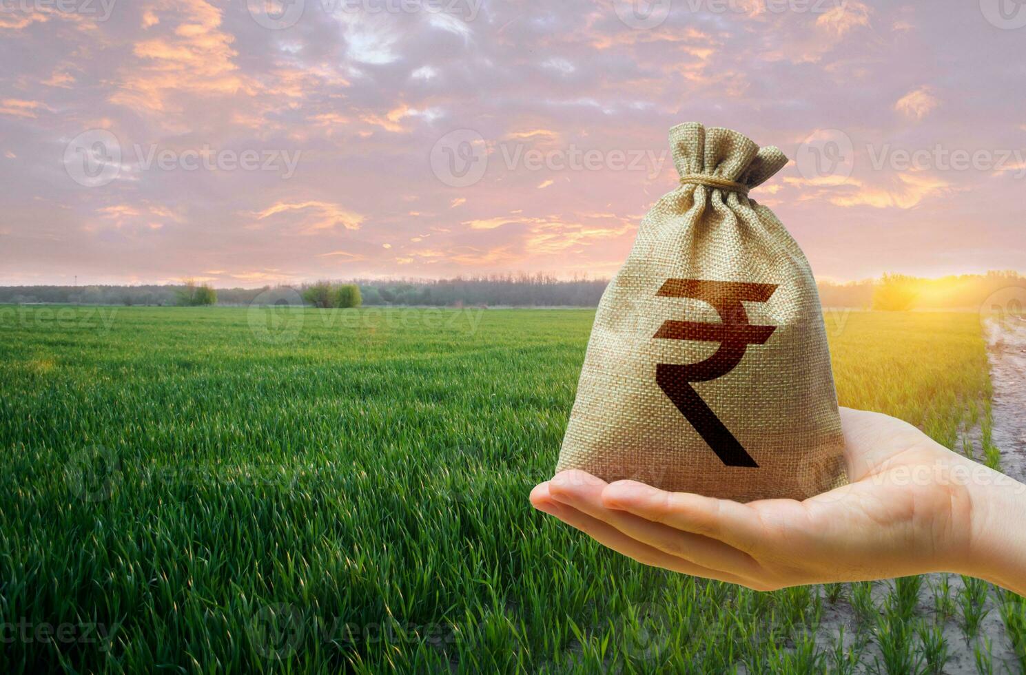 Green meadow field of young wheat and indian rupee money bag. World hunger. Grains cereals deficits. Starvation. Agroindustry and the agricultural business. World food security crisis, high prices. photo