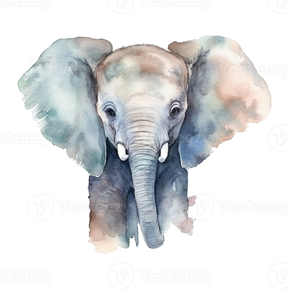 Watercolor little elephant isolated on transparent background. png