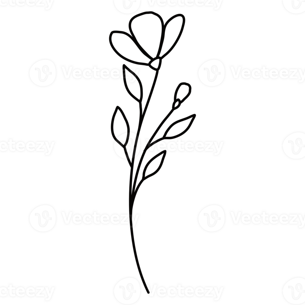 Line art floral png