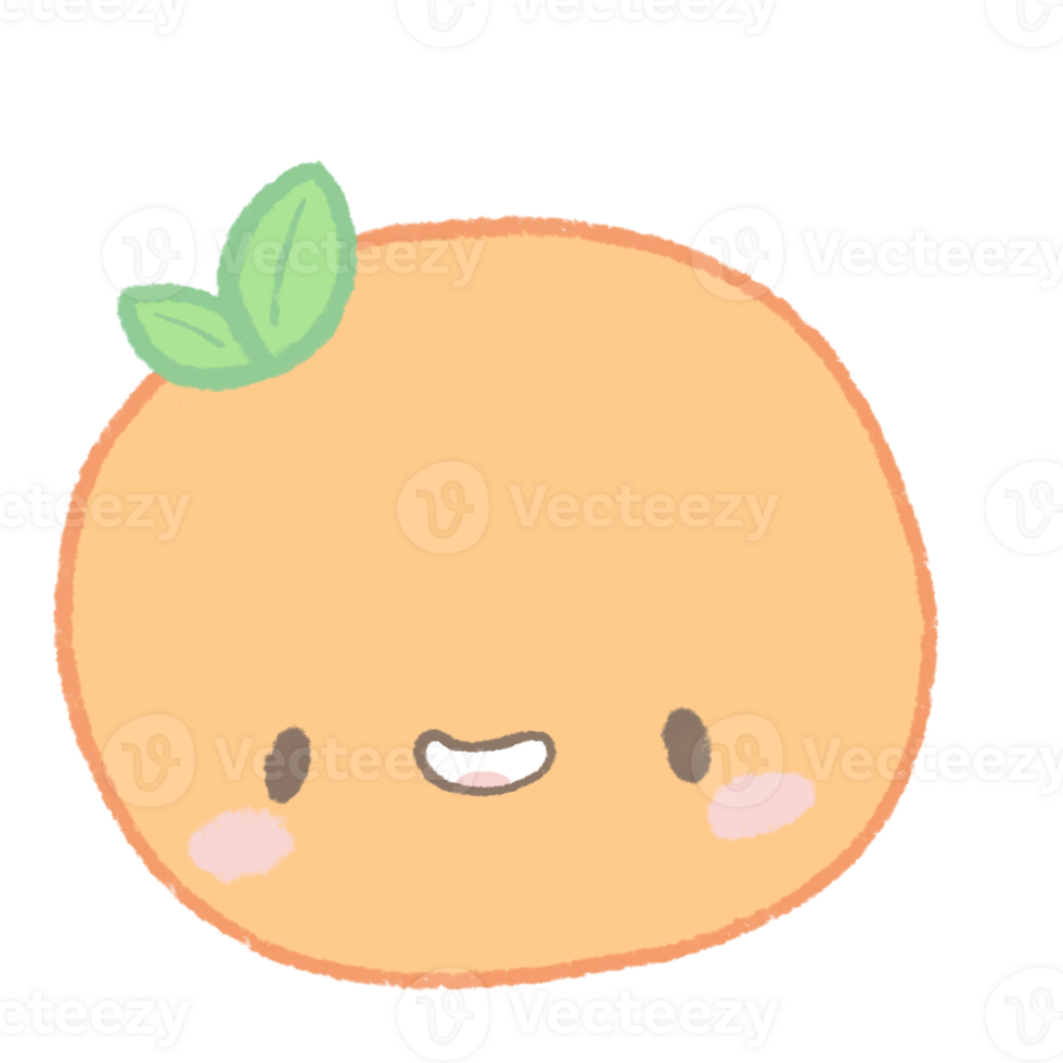 Cute Orange Fruit png