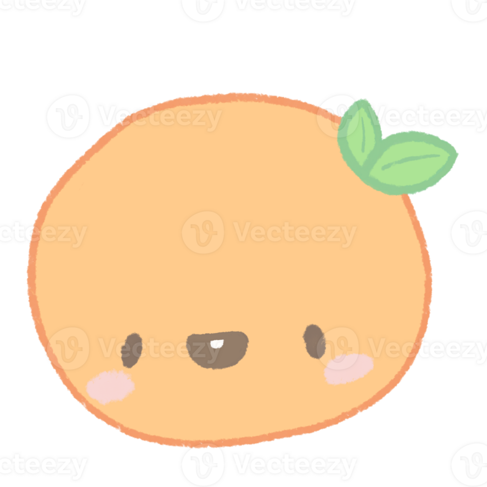 Cute Orange Fruit png