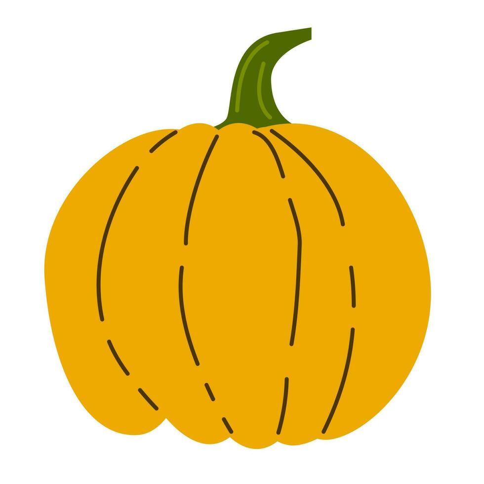 Hand drawn pumpkin. Autumn, fall, thanksgiving and halloween decoration. Cute pumpkin vector illustration