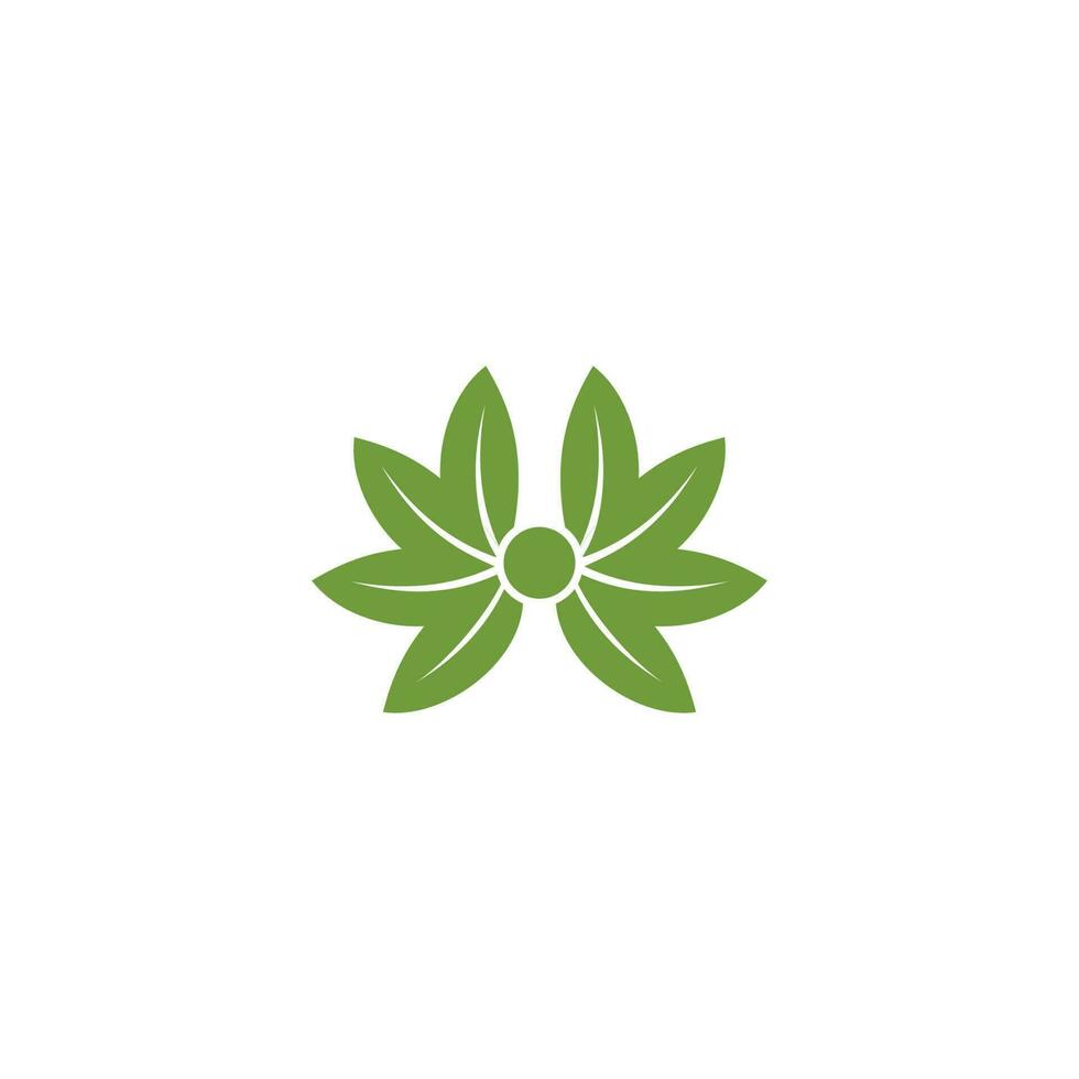 vector logo with modern, unique, and clean abstract leaf shapes, leaves, leaf logos, cannabis