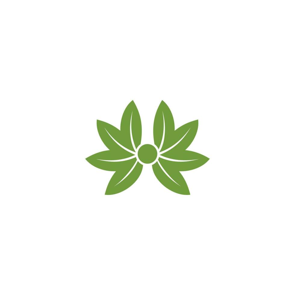 vector logo with modern, unique, and clean abstract leaf shapes, leaves, leaf logos, cannabis