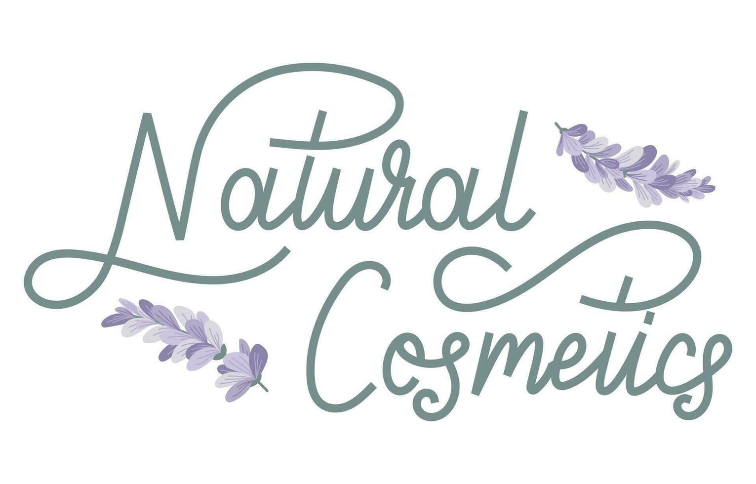Vector calligraphy, isolated Handwritten lettering Natural cosmetics, lavender or lilac branches with petals.