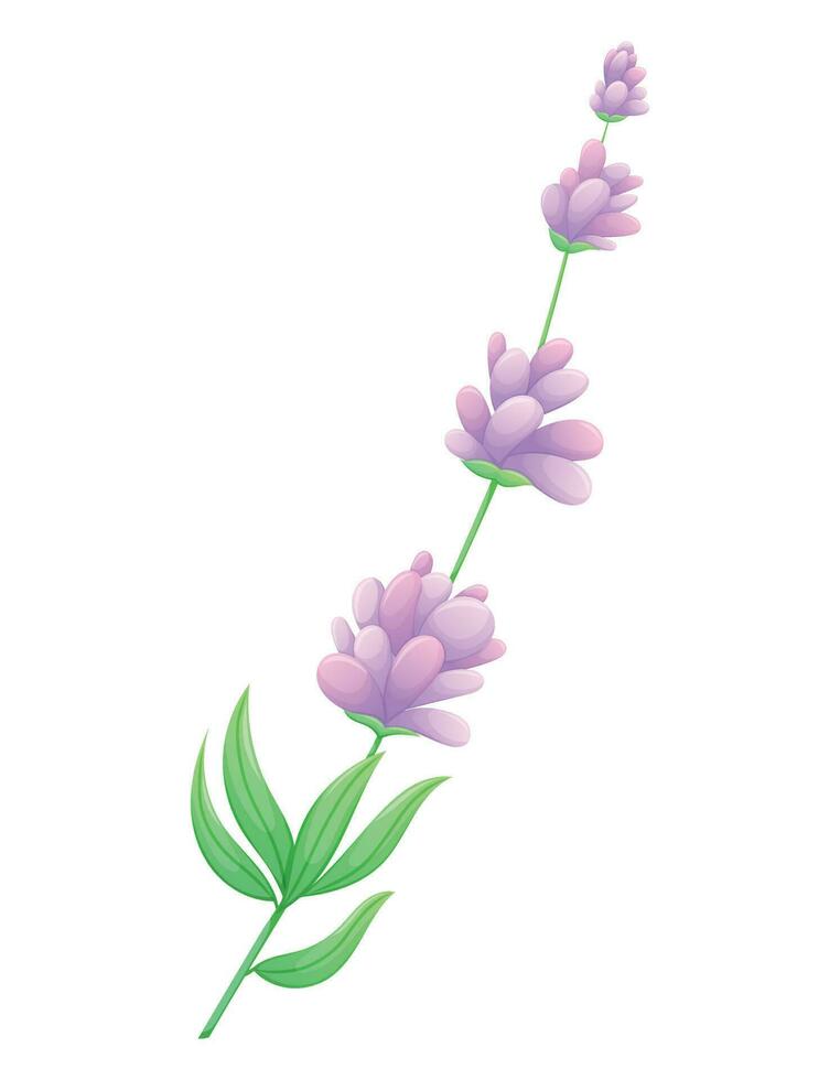 Sprig of lavender or lilac with purple flowers, leaves and petals. Vector isolated cartoon natural illustration.