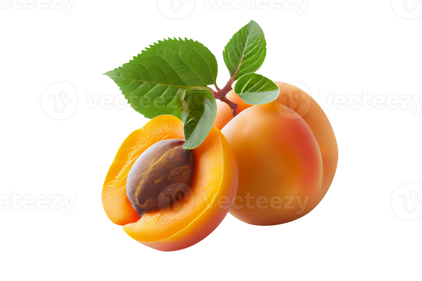 Fresh tasty apricot fruit with seed isolated on transparent background png