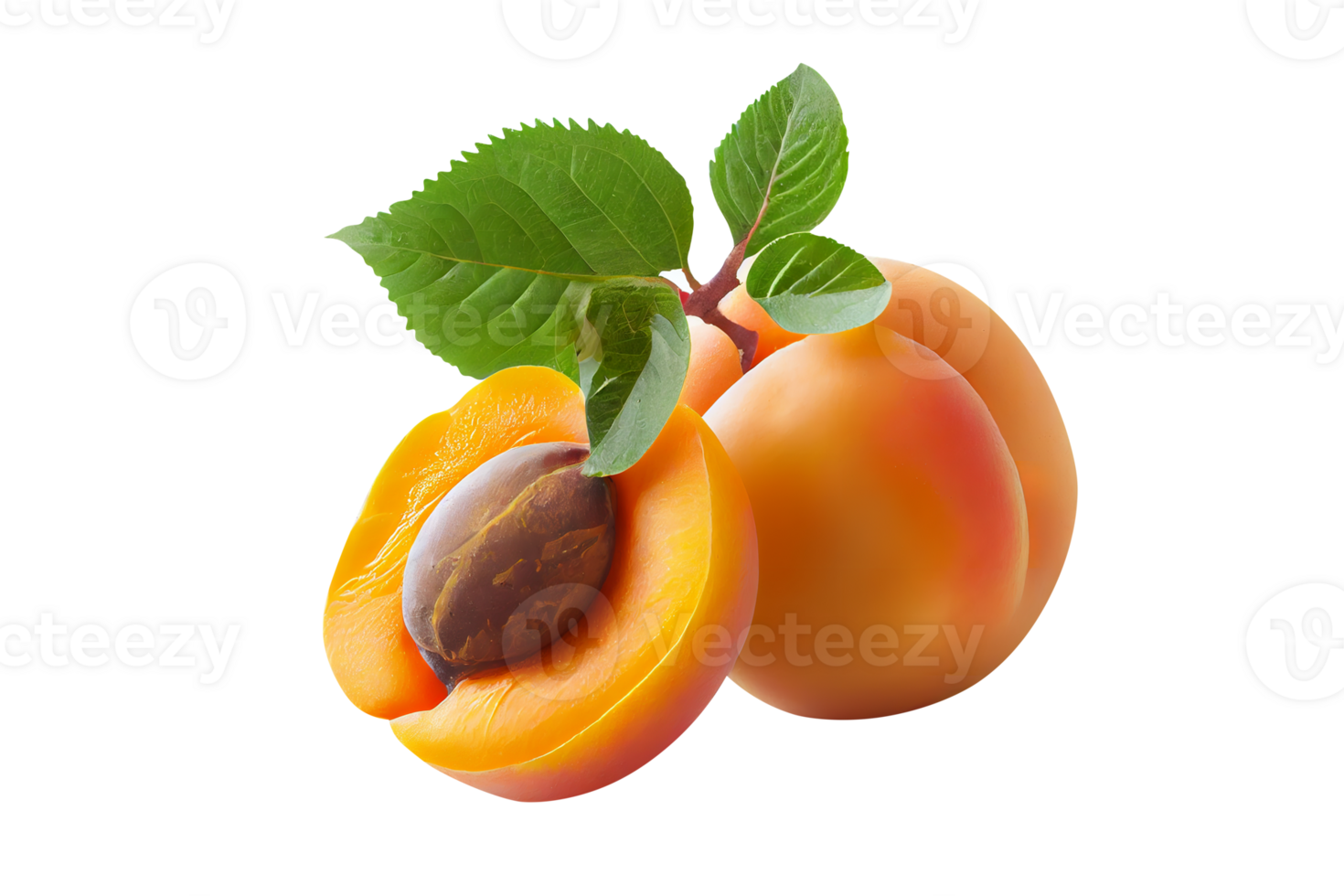 färsk gott aprikos frukt med utsäde isolerat på transparent bakgrund png