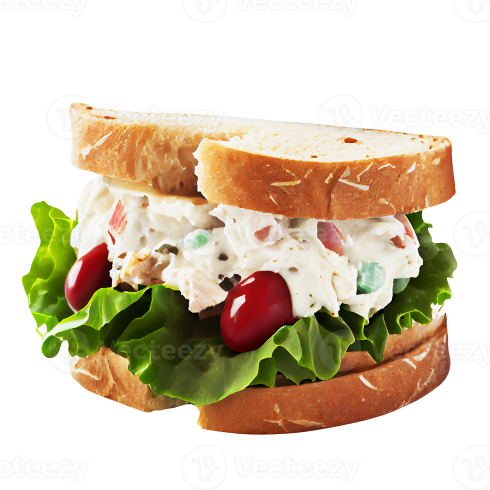 Tasty chicken cheese salad sandwich on transparent background png