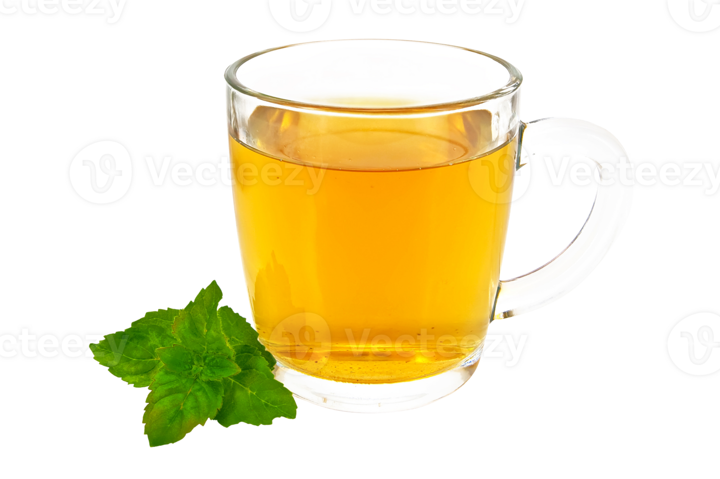 Fresh herbal tea cup with mint isolated on transparent background png