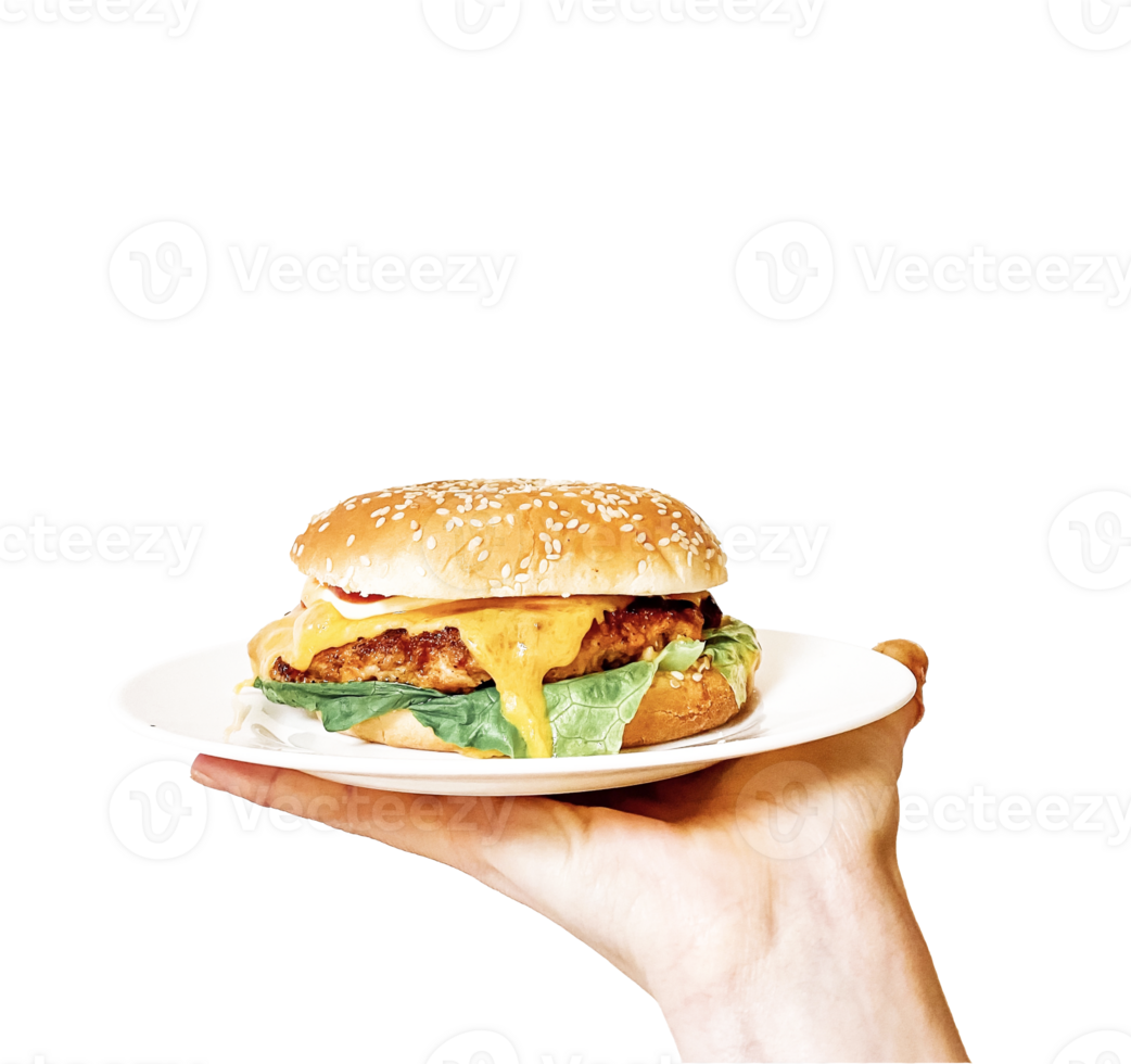 Hand hold tasty burger isolated on transparent background png
