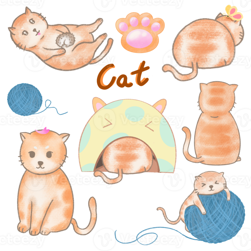 Set the orange cats image with a variety of cute and beautiful gestures. Have fun. png