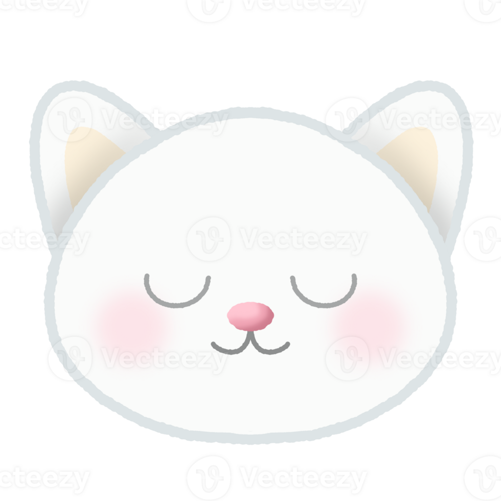 White odd eyed cat png