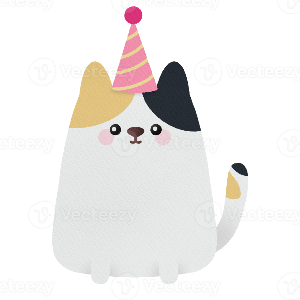 Cute chubby calico cat with party hat png