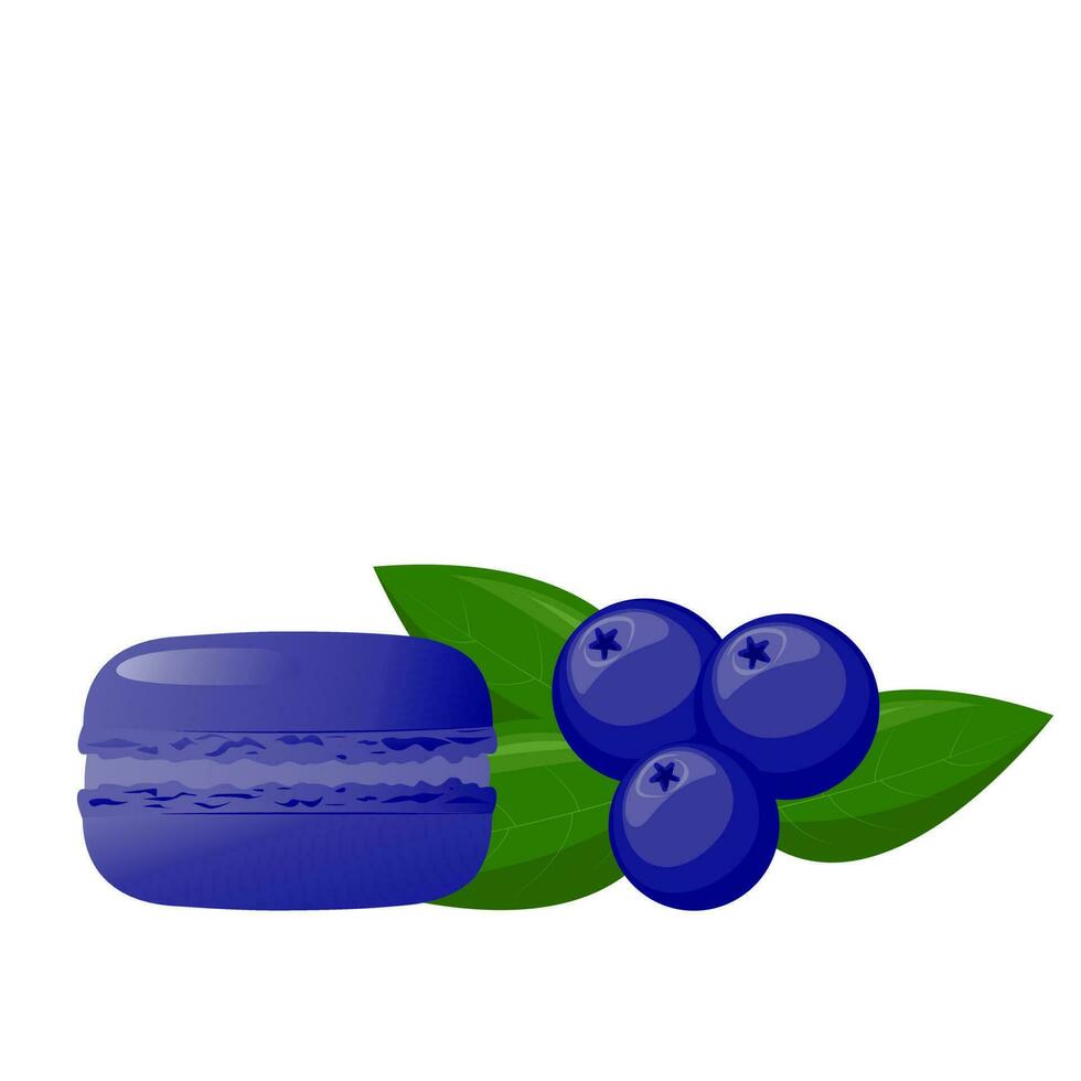 Blue macarons with  blueberries.Highly detailed dessert, macaroon, sweets, menu design, restaurants shop. Gradient macarons. Vector traditional french cookies in cartoon style.Vector illustration